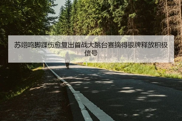 苏翊鸣脚踝伤愈复出首战大跳台赛摘得银牌释放积极信号